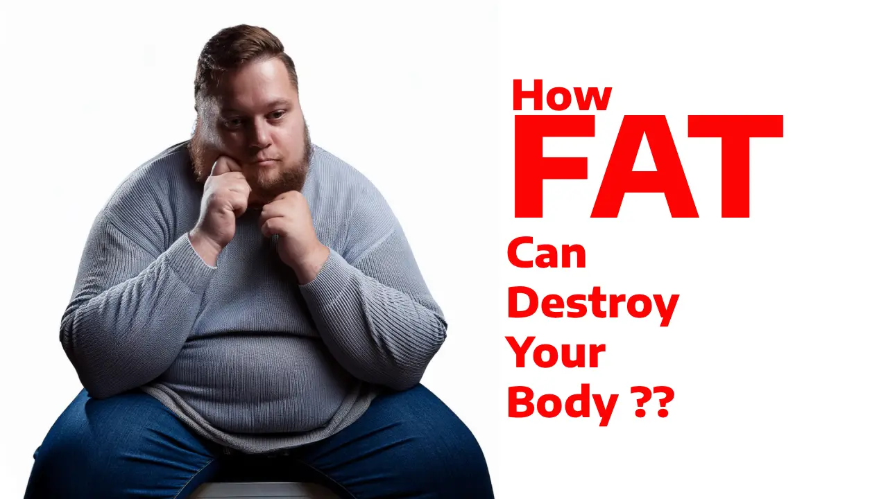 how-to-lose-weight-fat-burner